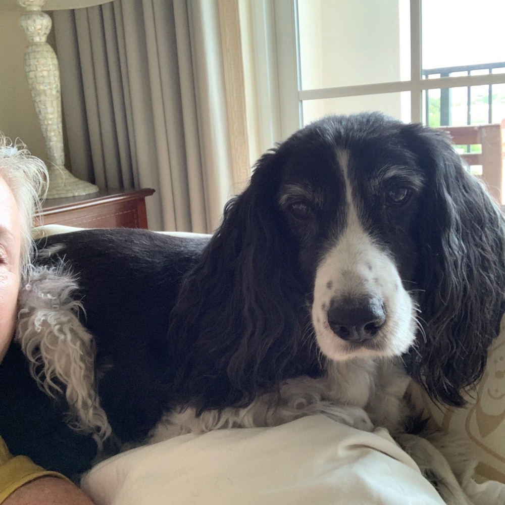 Meet your Posher, Linda